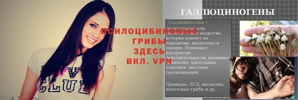 индика Абдулино