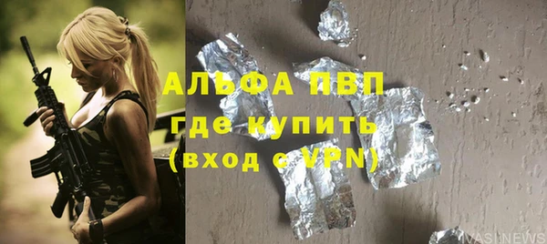 стаф Абинск