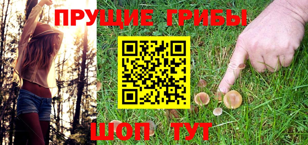 Оренбург  Псилоцибиновые грибы мухоморы  Вход с VPN 