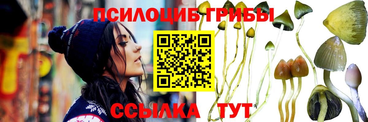 Канабис Оренбург